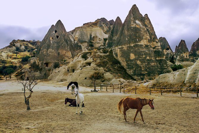 Cappadocia 2 Day Tour from Antalya - Coach Comfort, Shop Stops, and Why the Schedule Feels Tight