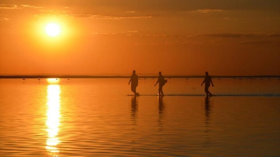 Cappadocia Amazing Sunset Tour To Salt Lake - Birds at Sunset: Flamingos and Other Guests of the Salt Flat