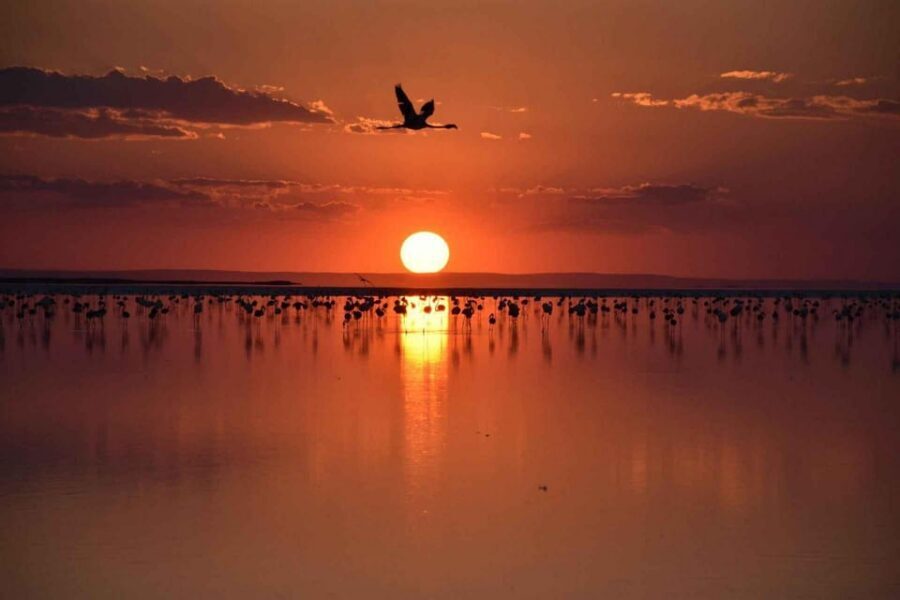 Cappadocia Amazing Sunset Tour To Salt Lake - Price Value: $354 Per Group Up to 4, and What You’re Paying For