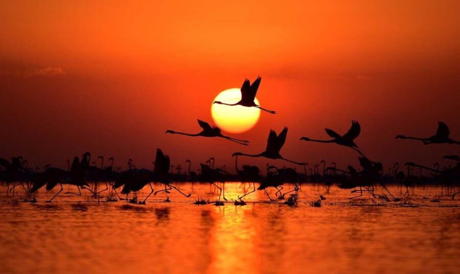 Cappadocia Amazing Sunset Tour To Salt Lake - What to Bring for a Better Salt Lake Sunset
