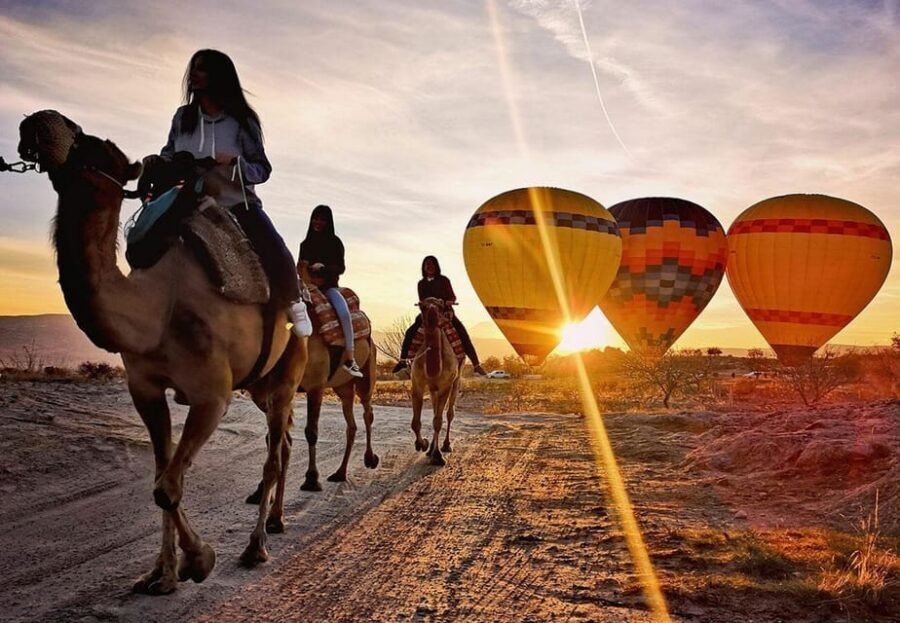 Cappadocia: Camel Safari - Guide support in English and Turkish (and what to watch for)