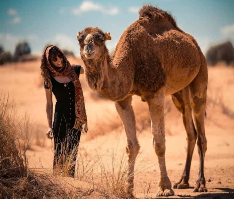 Cappadocia: Camel Safari Tour with Transfer - What happens during the camel ride: valleys, fairy chimneys, cave dwellings