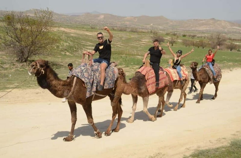 Cappadocia: Camel Safari Tour with Transfer - Price and value: about $58 for a guided camel ride with transfer