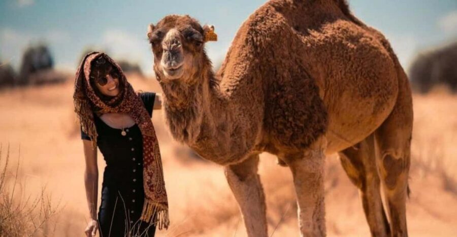 Cappadocia: Camel Safari Tour with Transfer - Who this camel safari suits best