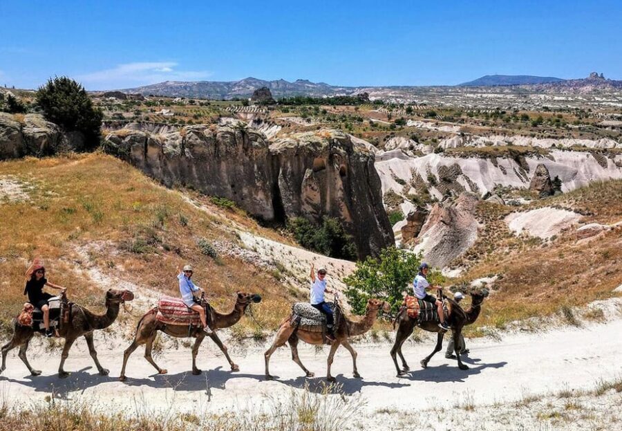 Cappadocia: Camel Safari - Pickup, group size, and the quick training before you ride