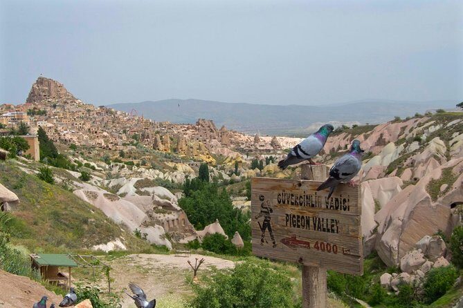 Cappadocia Daily Green tour - Pigeon Valley: Calm Ending with Rock-Tied Bird Houses