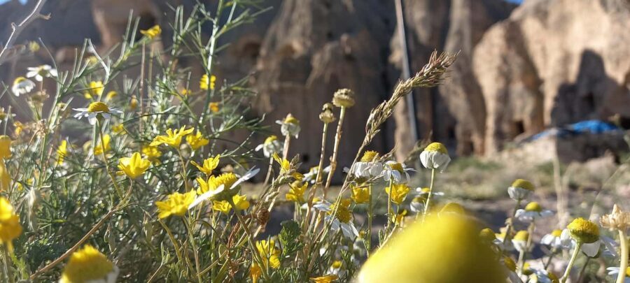 Cappadocia: Derinkuyu, Selime, Nar Crater Lake & Ihlara Tour - Transfers and Timing: How the 8–9 Hours Feels in Real Life