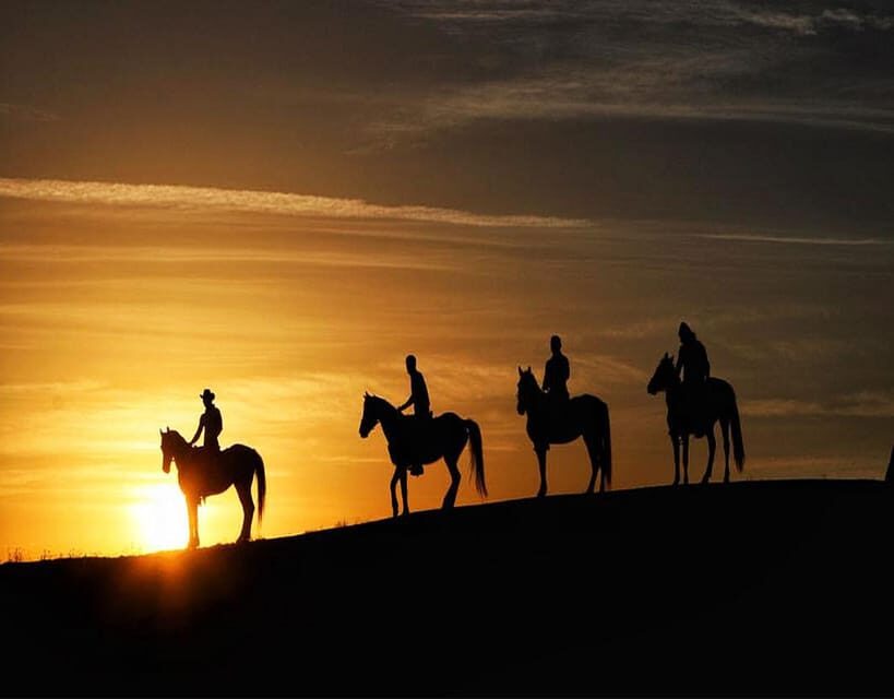 Cappadocia: Fascinating Horse Riding Tour in Unique Valleys - Sunrise, Daytime, or Sunset: Choosing Your Light (and Your Mood)