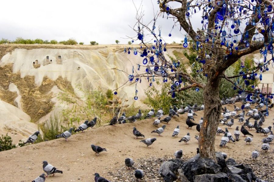 Cappadocia: Green Tour with Entry Fees and Lunch - Pigeon Valley: short hike, carved pigeon houses, and quick viewpoints