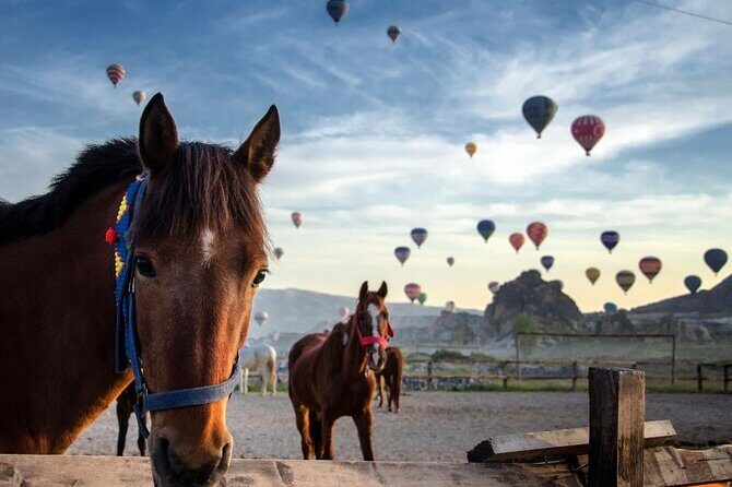 Cappadocia Horse Riding Experience Sunrise Sunset Daytime - Key Highlights Worth Booking