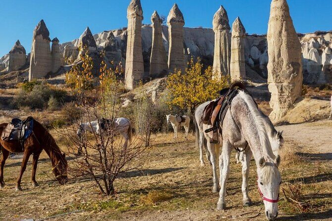 Cappadocia Horse Riding Experience Sunrise Sunset Daytime - Timing Matters: Sunrise, Daytime, or Sunset Horse Rides