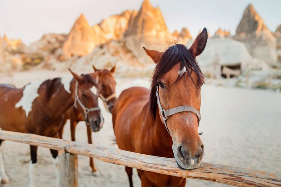 Cappadocia: Horse Riding w/Sunrise & Sunset Option - The 70-Minute Ride Through Cappadocia Valleys: Sunrise vs Sunset