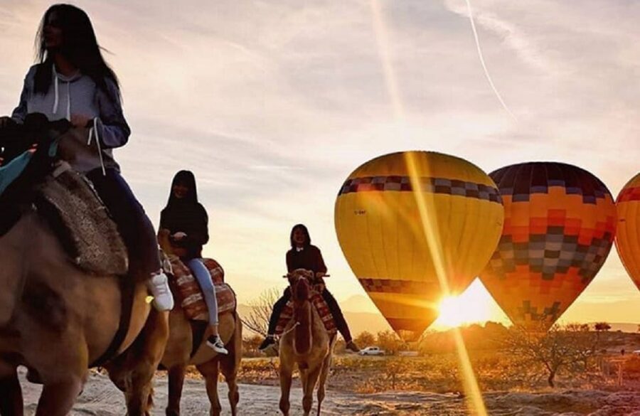 Cappadocia: Horse Safari with Hotel Transfer - Who This Cappadocia Horse Safari Is Best For