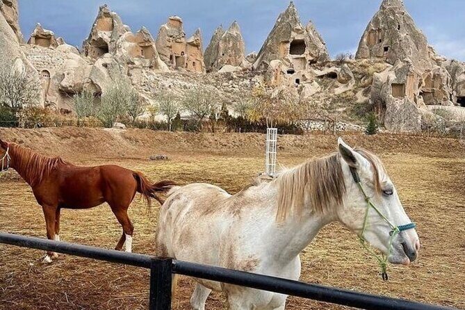 Cappadocia Horseback Riding Tour (Transfer Included) - Why This Sunset Horse Tour Feels Like Real Cappadocia Time