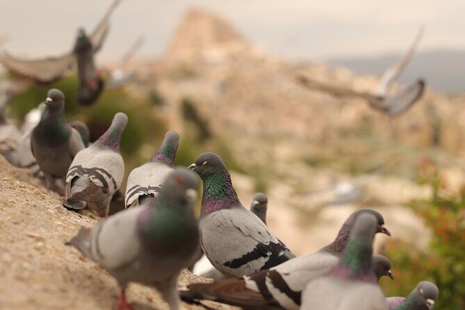 Cappadocia Private Guided Tour(Car&Licensed Guide) - Your Day in Cappadocia, Without the Headache of Planning