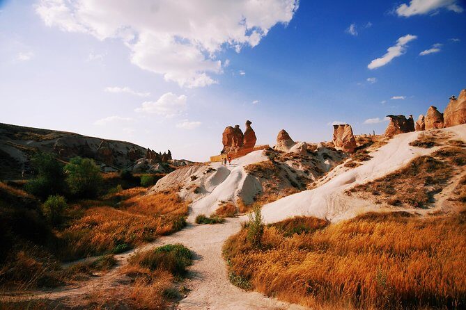 Cappadocia Private Tour - Cappadocia's All Highlights in 1 Day - Devrent Valley, aka Imagination Valley: animal rocks and quick laughs