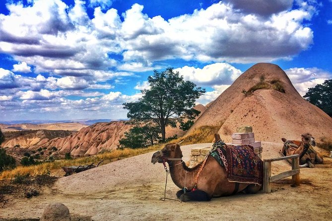 Cappadocia Red Tour (Pro Guide, Tickets, Lunch, Transfer incl) - Uçhisar Castle: the region’s highest rock story