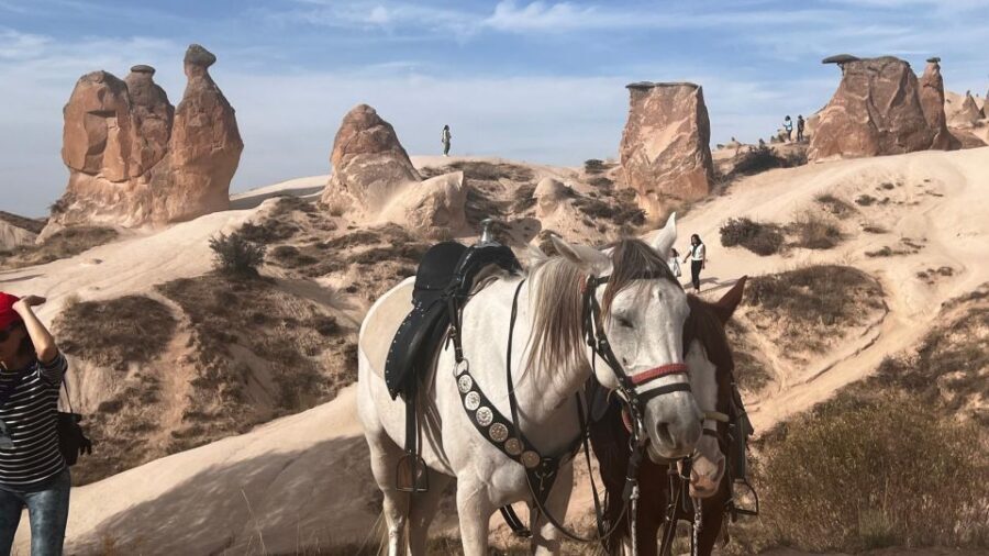 Cappadocia: Small-Group North Tour - Göreme Open-Air Museum: Byzantine fresco churches carved into rock
