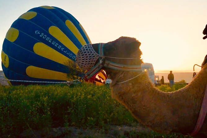 Cappadocia Sunrise Camel Safari - Sunrise Camel Safari in Cappadocia: what you’re really paying for