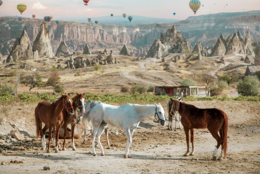 Cappadocia: Sunset Horseback-Riding Tour - Guide style and what you should expect to hear