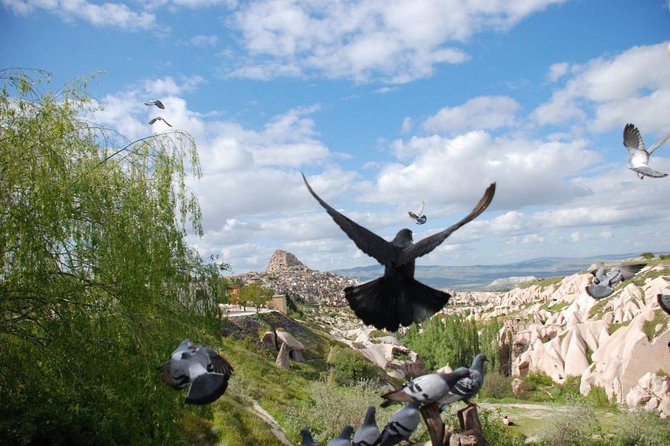 Cappadocia Tour - Guides, Group Style, and How to Make the Most of the Explanations