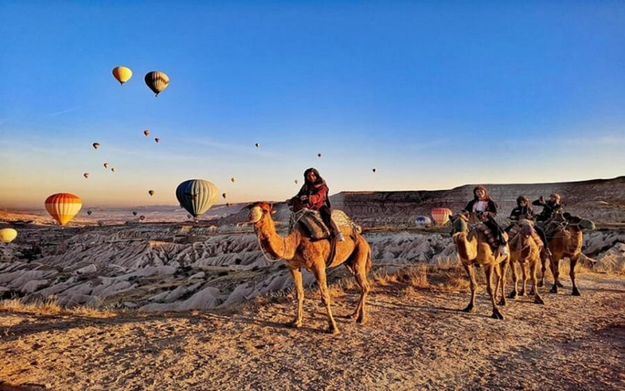 From Cappadocia: Sunrise or Sunset Camel Riding Day Trip - What Happens After You Meet Your Camel: Safety Briefing and Traditional Clothes