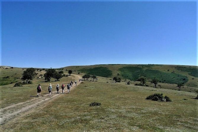 Full-Day Hiking at Cappadocia - Red Valley: Ancient Churches, Pigeon Houses, and the Meal With a View