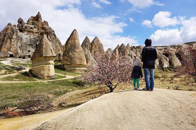 Full Day Private Cappadocia Tour (Luxury Van + Private Guide ) - Devrent, Love, and Rose Valleys: Animal Shapes and Famous Pillars
