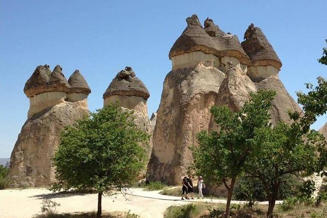 Full-Day Tour in Cappadocia with Open Air Museum - Stop 4: Devrent Valley Imagination Stop (Animals in Stone)