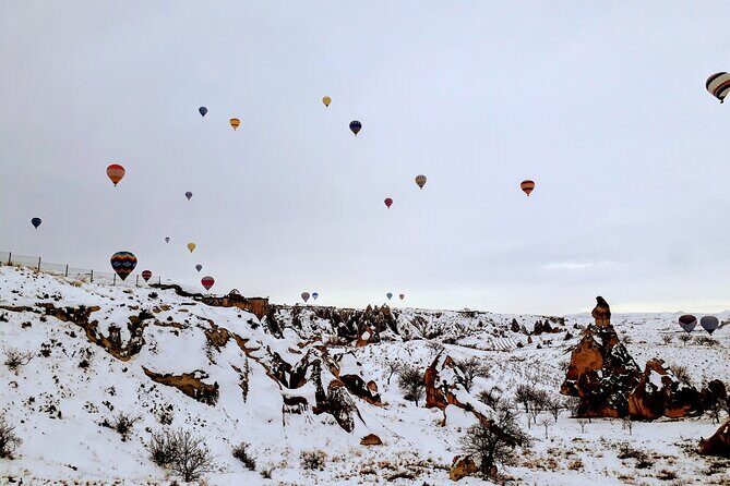 Multi Language Private Tour in Cappadocia - Paşabağı Fairy Chimneys: Monks Valley and Mushroom Rocks