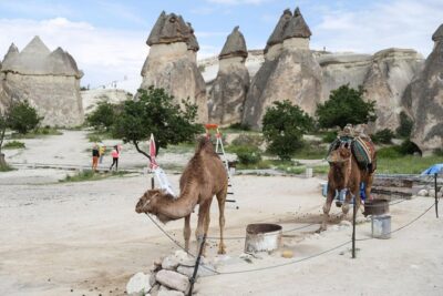 Private Cappadocia Tour w/Chimneys and Goreme Open Air Museum - Pasabagi Fairy Chimneys (Monk’s Valley) for Big-Impact Photos