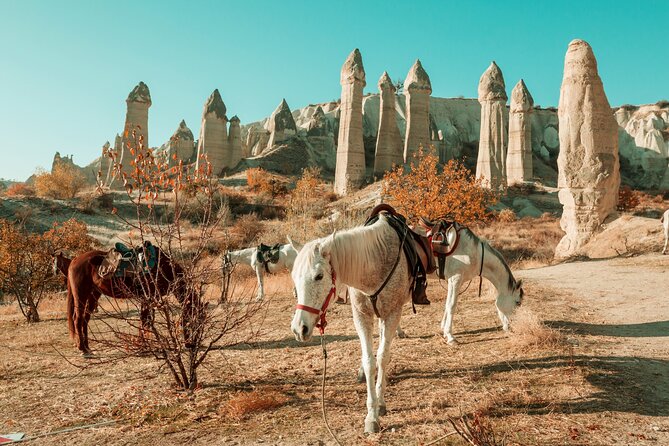 Private Day Trip to Cappadocia from Istanbul - Why This One-Day Cappadocia Plan Works