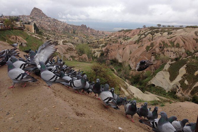 Private Highlights of Cappadocia Tour with lunch - Devrent Valley: Shape Spotting as a Skill
