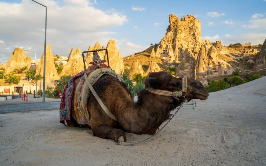 Sunrise and Sunset Camel Ride with Stunning Cappadocia Views - Weather reality: when wind shows up, the short duration helps