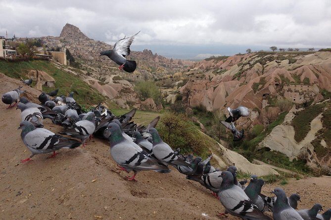 Tour of Highlights of Cappadocia with Lunch - Avanos at Sultans Seramik: Kick-Wheel Pottery With a Hands-On Feel